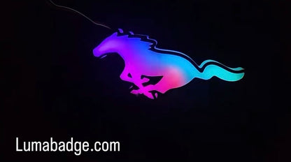 Pony V1 RGB badge