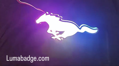 Pony V1 RGB badge