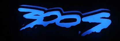 300S V2 RGB badge